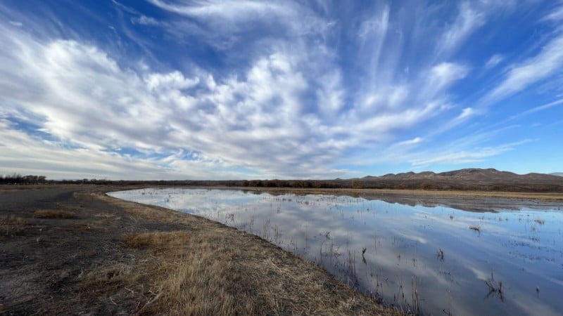 Bosque Del Apache nature preserve