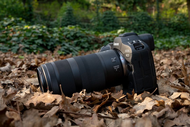 Canon RF 100 400mm f5.6 8 IS USM Review: It s Better Than You ...