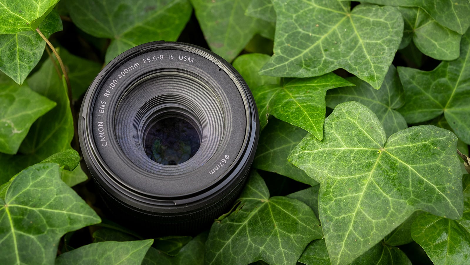 Canon RT100-400mmF5.6-8 IS USM レンズ(ズーム)