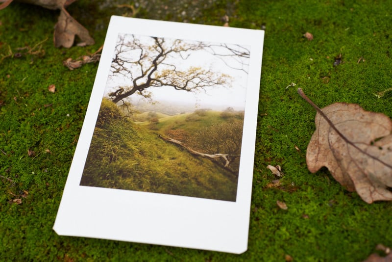 Instax print taken and developed from the Mini Evo.