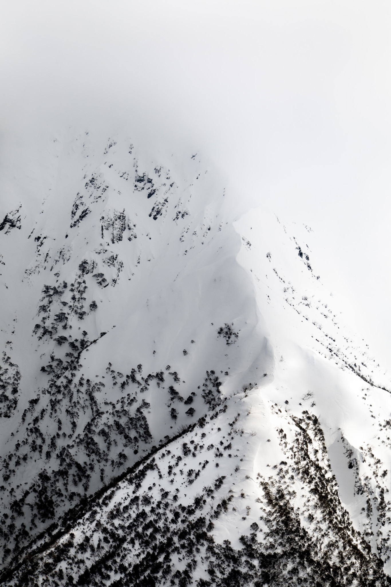 'Alpine' Shows the Snowy, Unseen Side of Australian Mountain Ranges ...