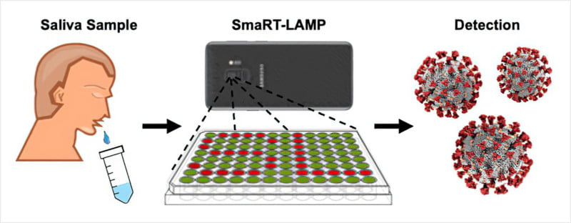 The processing for covid testing with the smart-lamp device