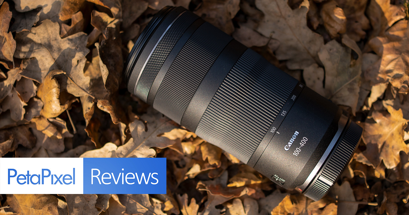 Canon RF 100-400mm f/5.6-8 IS USM Review: It's Better Than You