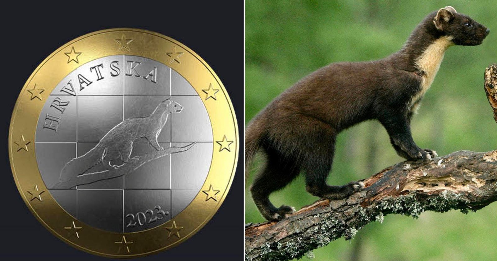 Croatian coin plagiarism