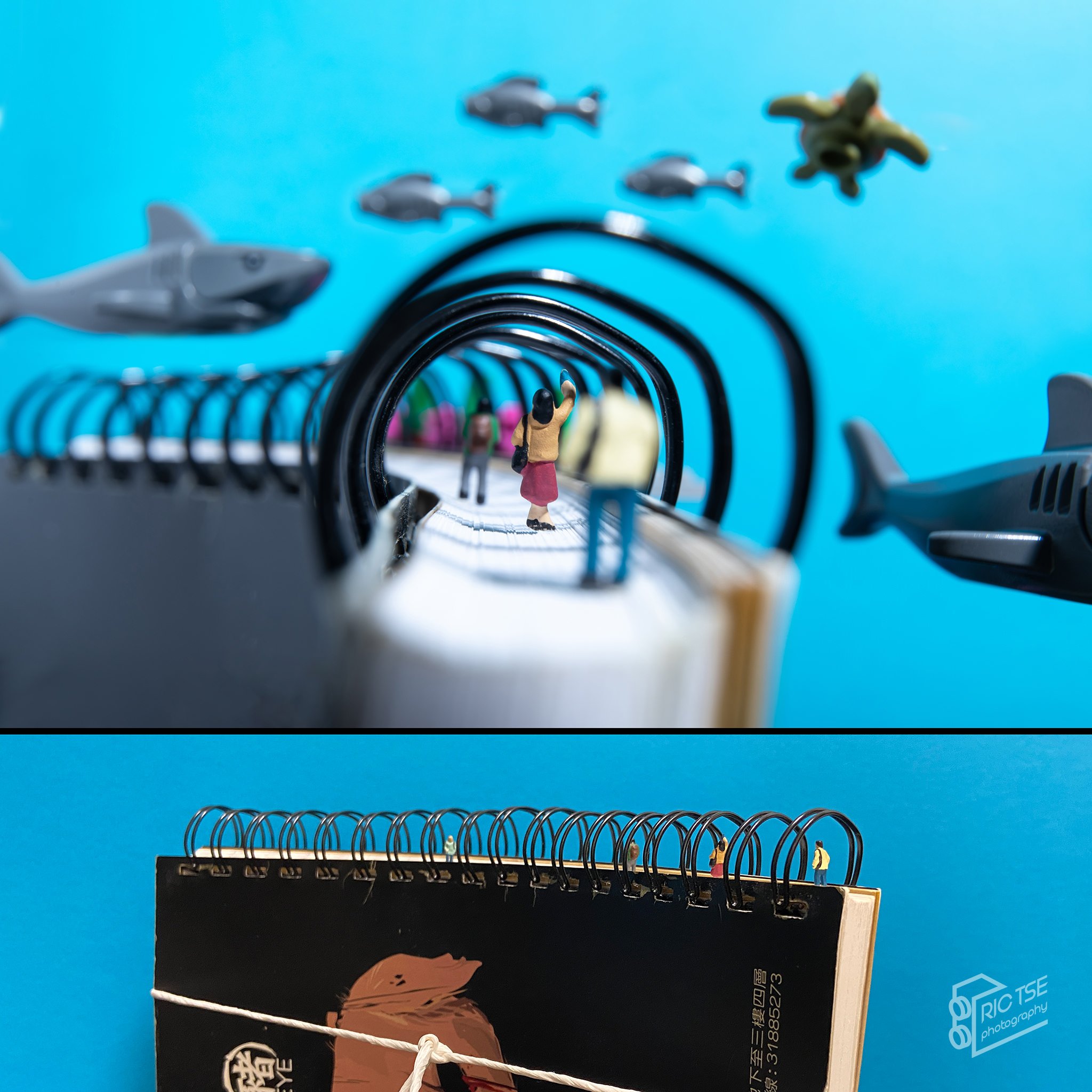 Miniature photography by Ric Tse