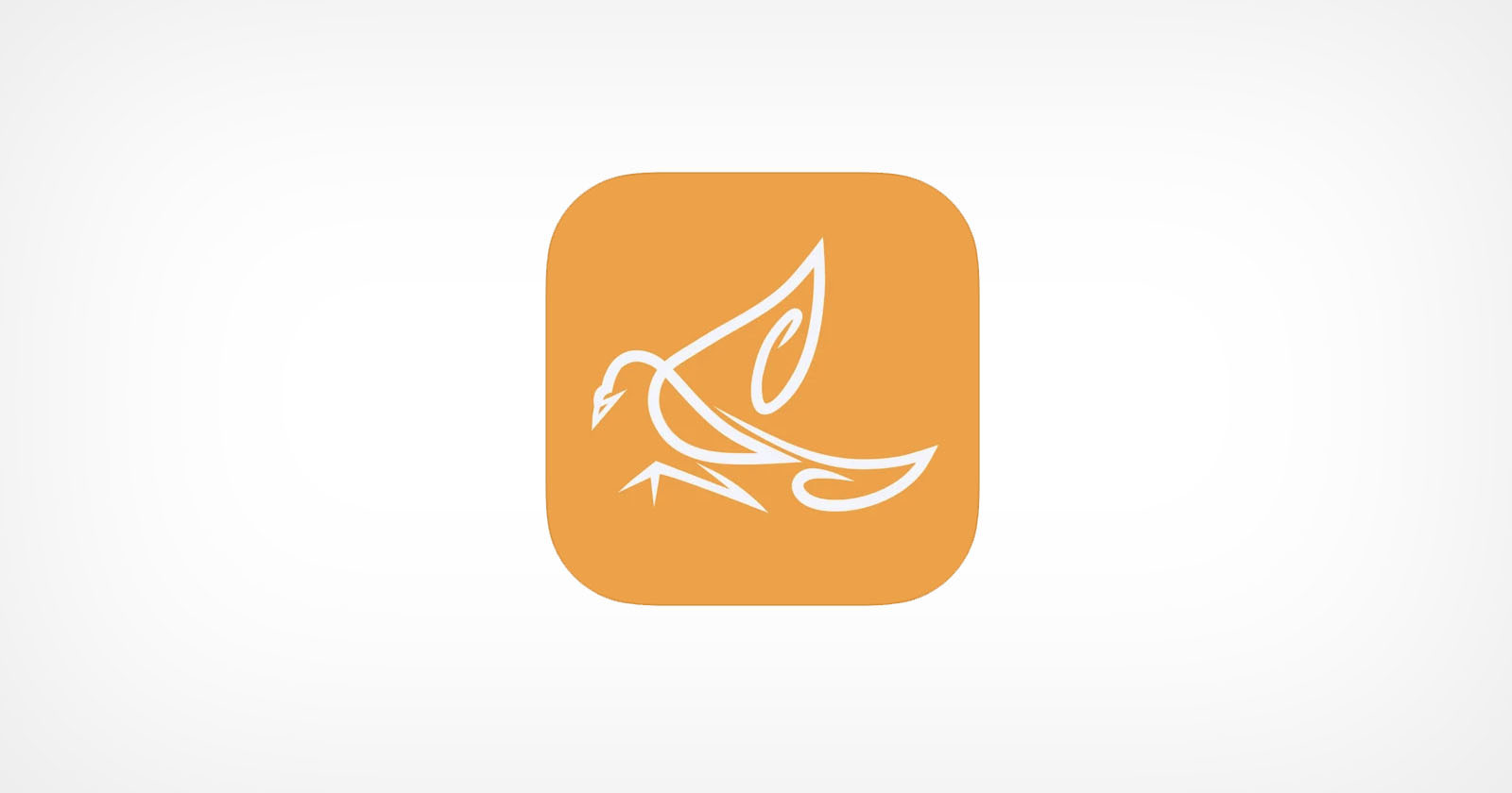 Lensii is Now Pidgeon: An Ad-Free Photo Sharing Instagram Alternative