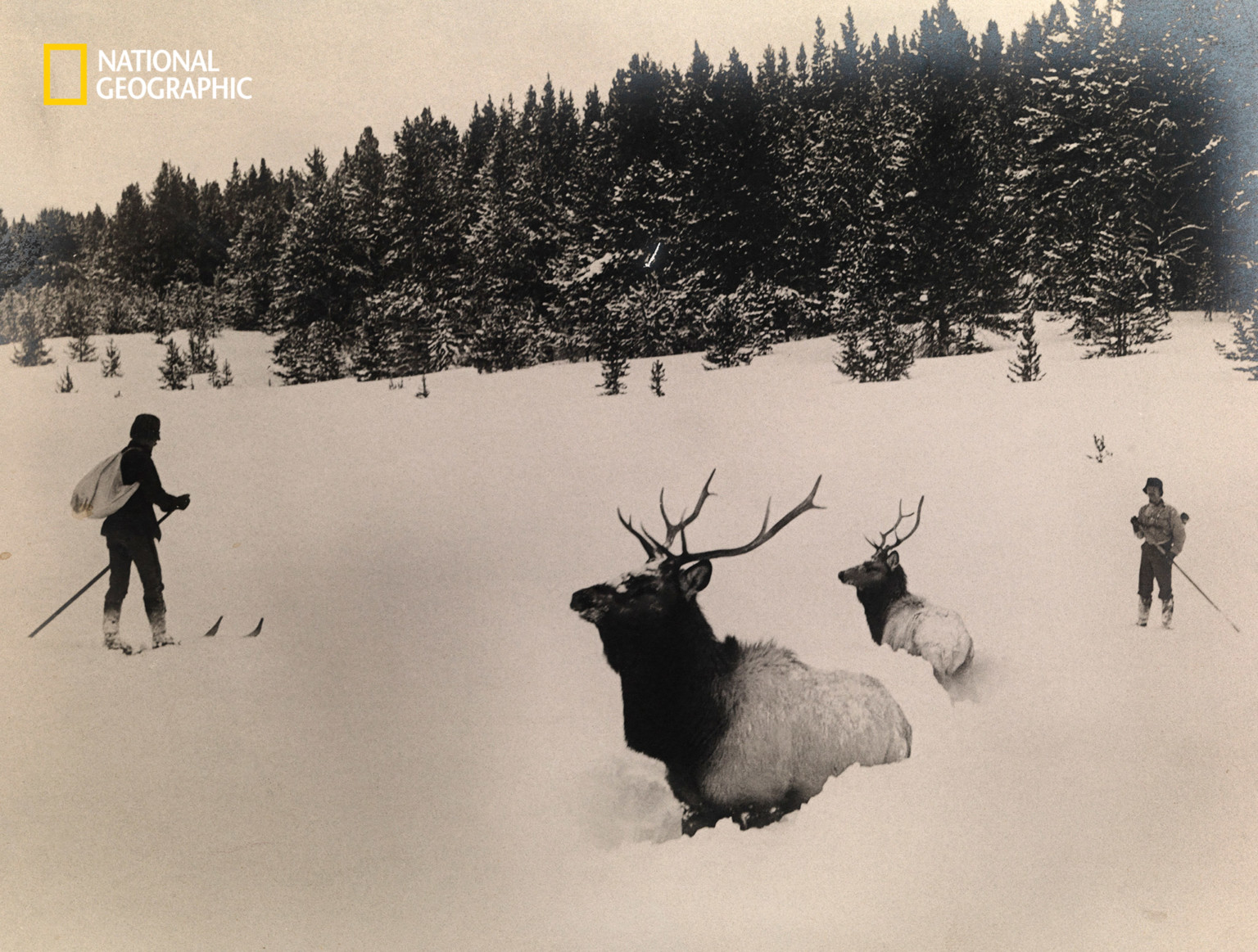 See 150 Years of Yellowstone National Park in Photos | PetaPixel