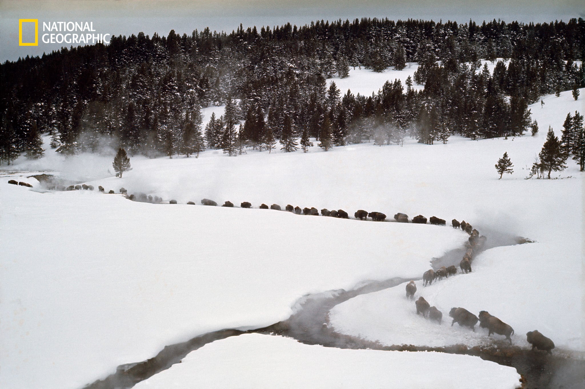 See 150 Years of Yellowstone National Park in Photos | PetaPixel
