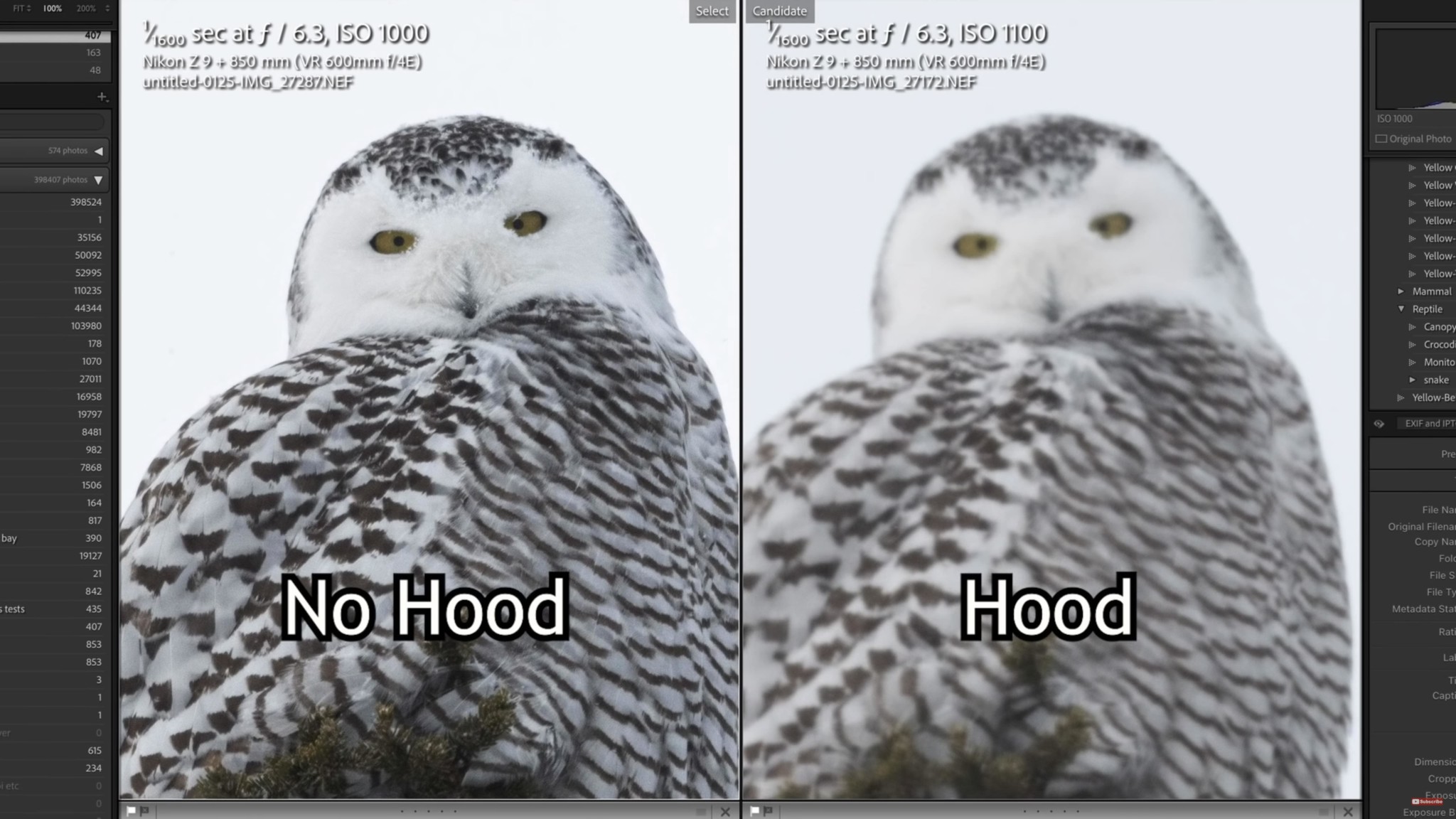 Lens Hoods Can Ruin Photos Taken in Cold Weather PetaPixel