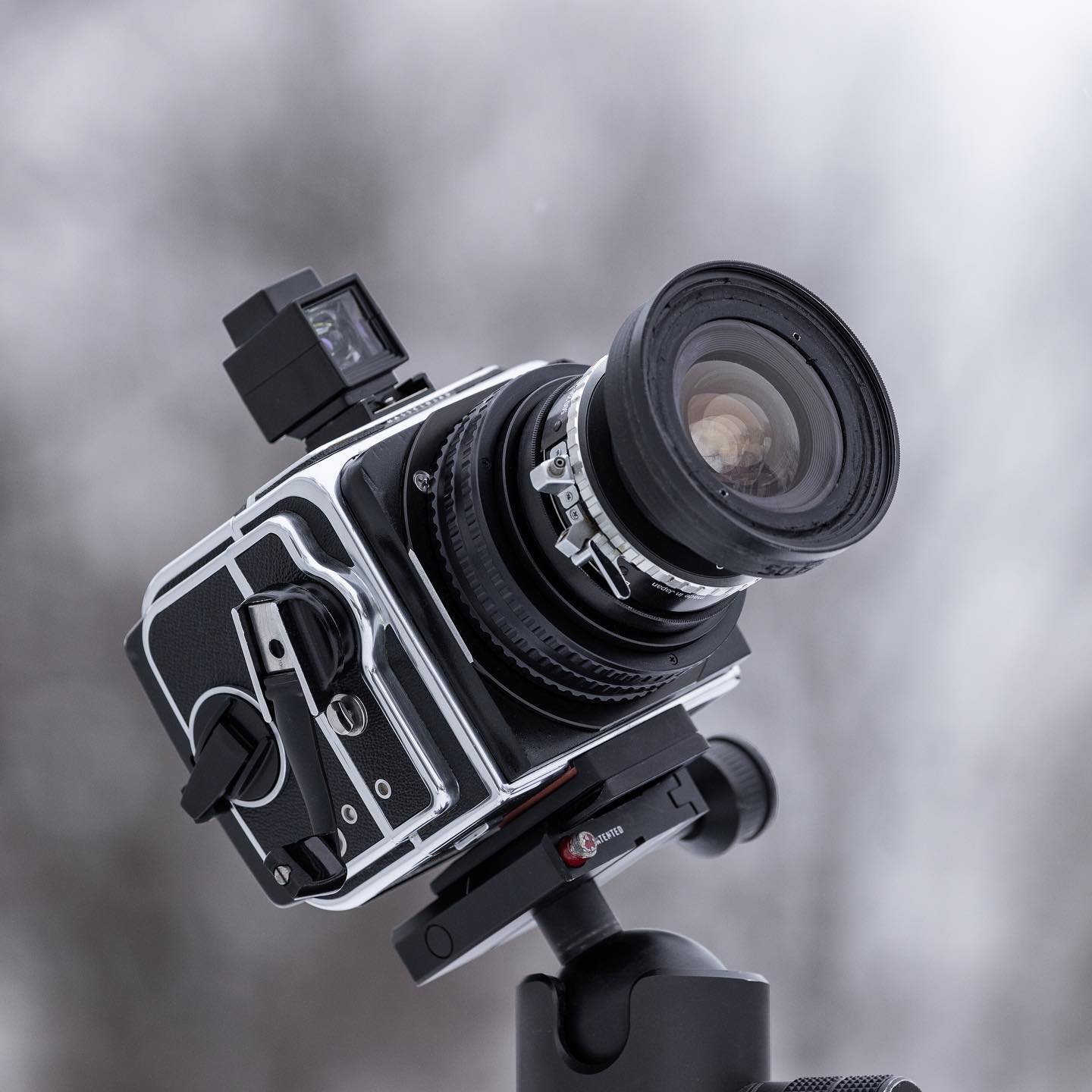 Zenzablad by dirk fletcher 3