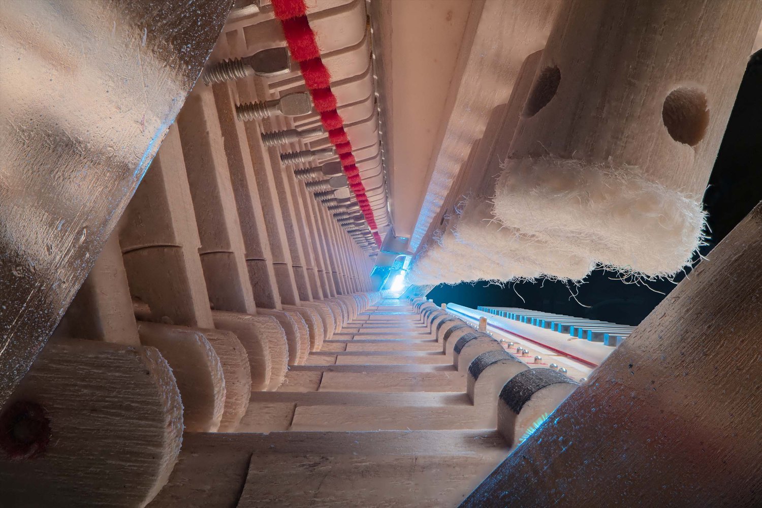 The inside of a musical instrument