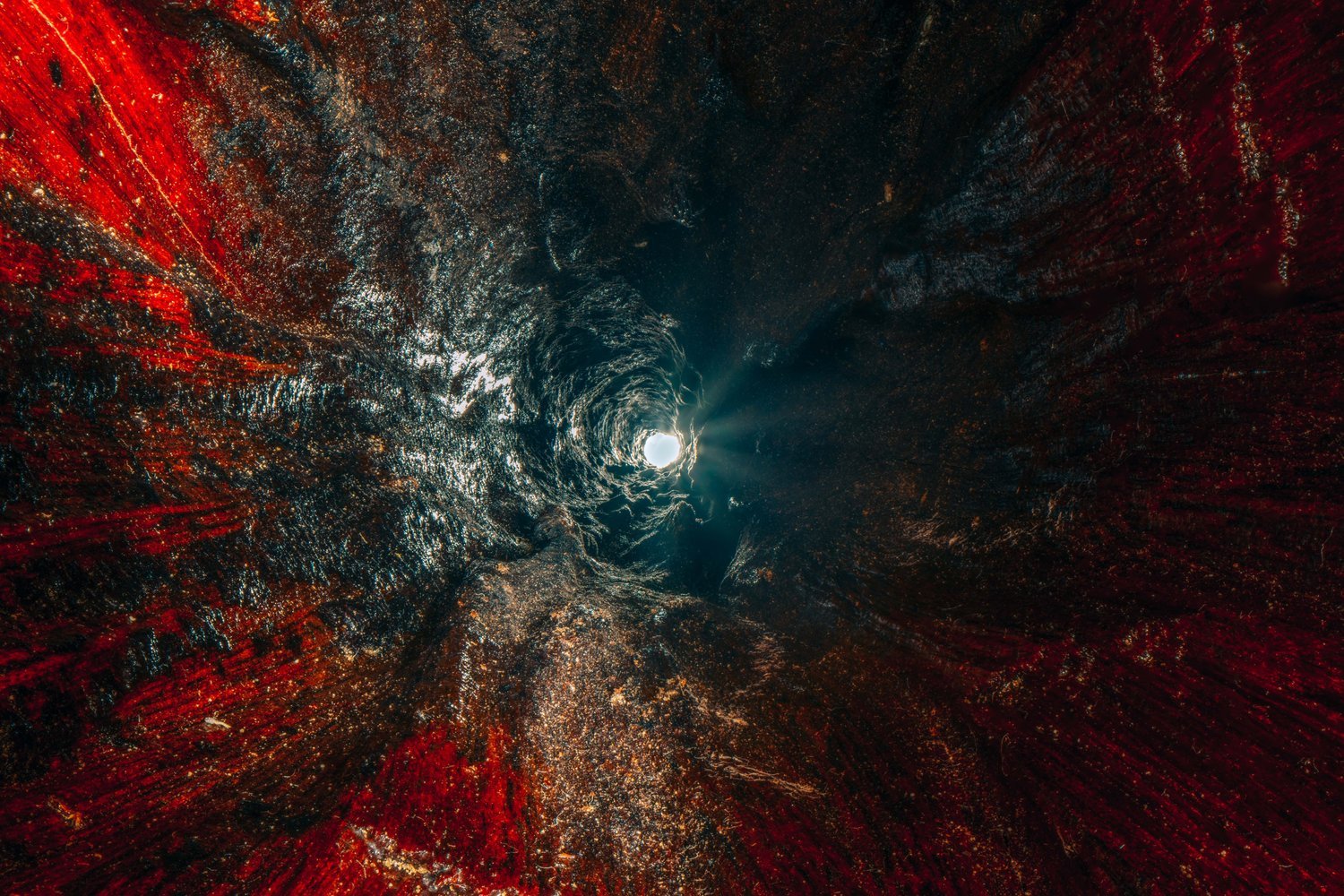 The inside of a musical instrument