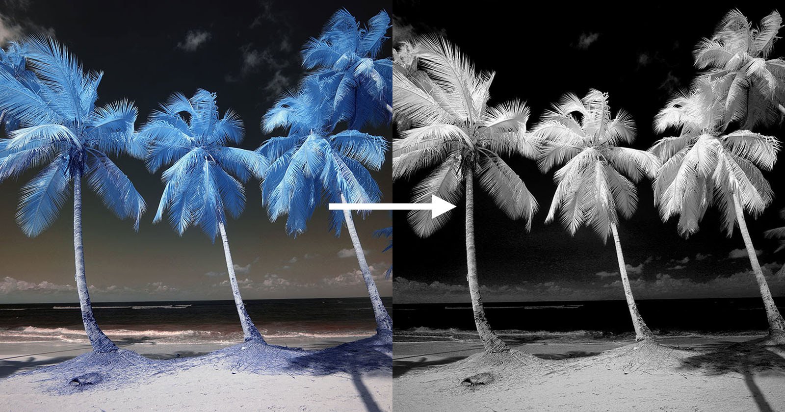 3 Steps to Creating a Dramatic B&W Infrared Photo in Photoshop