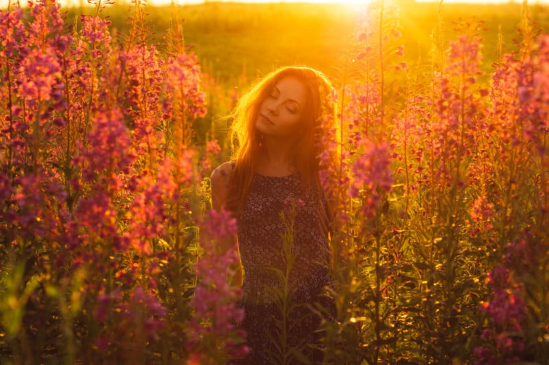 A portrait of a woman in a field with warm sunlight