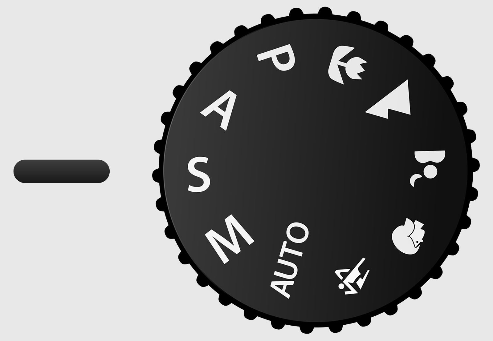 A Guide to Digital Camera Modes | PetaPixel