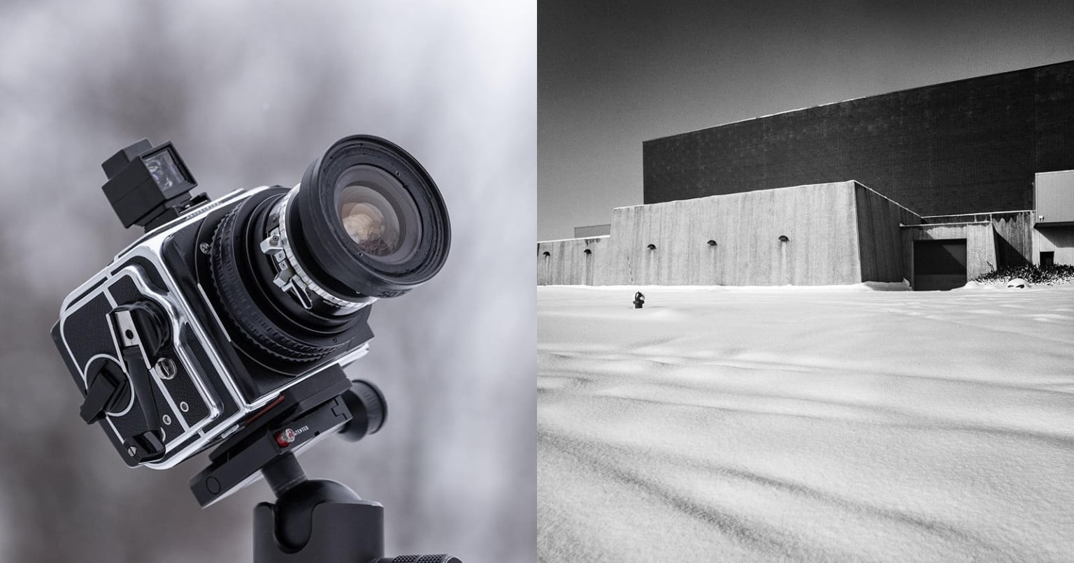 zenzablad header image