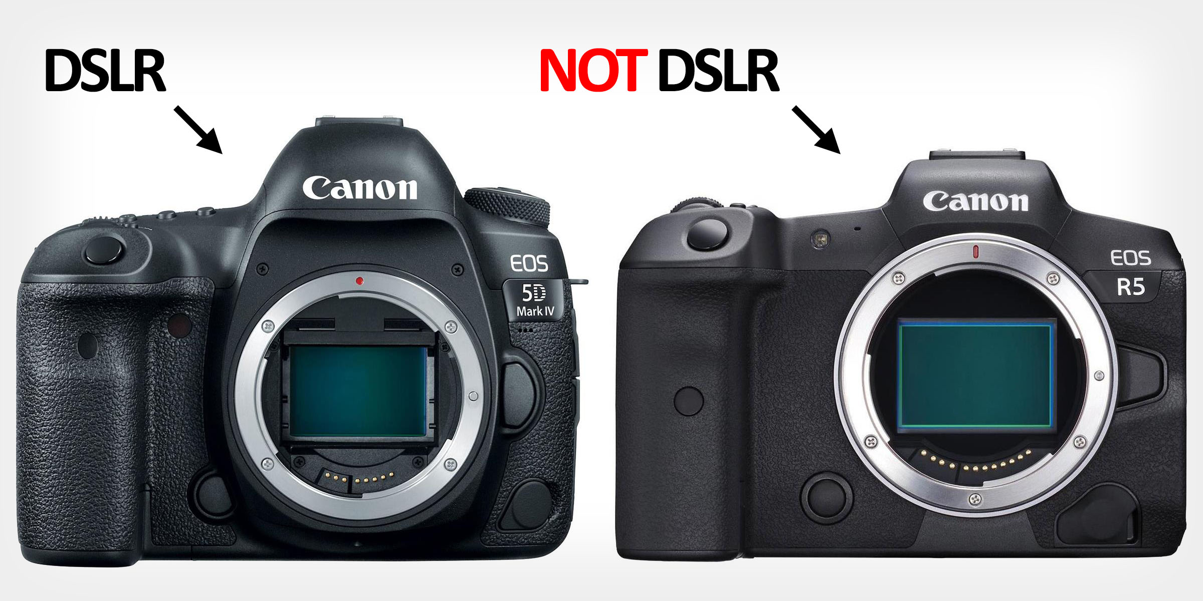 Individuals Have No Concept What a DSLR Really Is