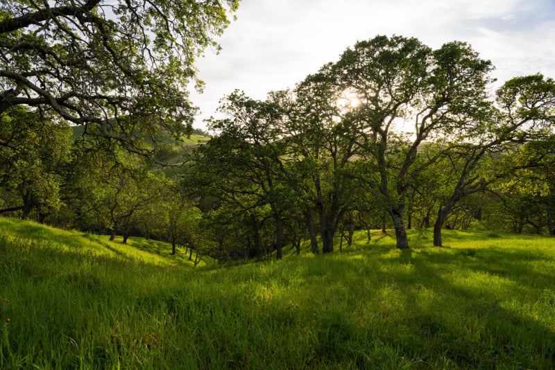 Sony PZ 16-35mm f/4 G shot at 16mm.