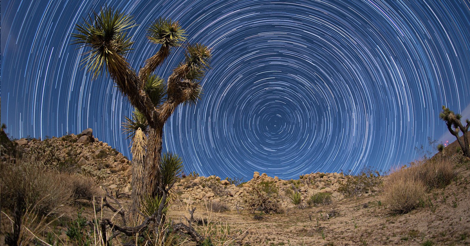 A Star Trail Timelapse of the Mojave Desert Shot Under a Full Moon
