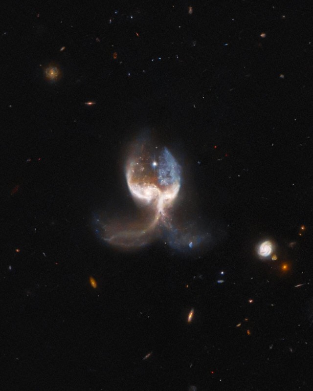 Image Hubble de l'aile d'ange
