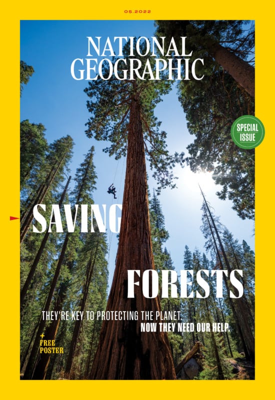 National Geographic Saving Forests Cover