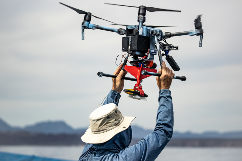 Penelitian paus dengan drone