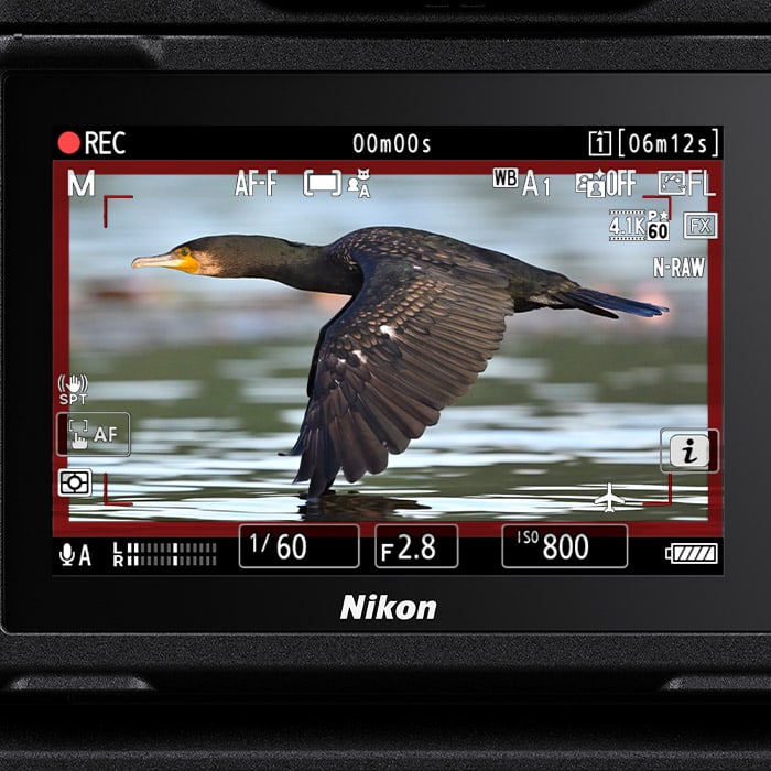 Nikon-Z9-firmware-update-2-0-cameradeals