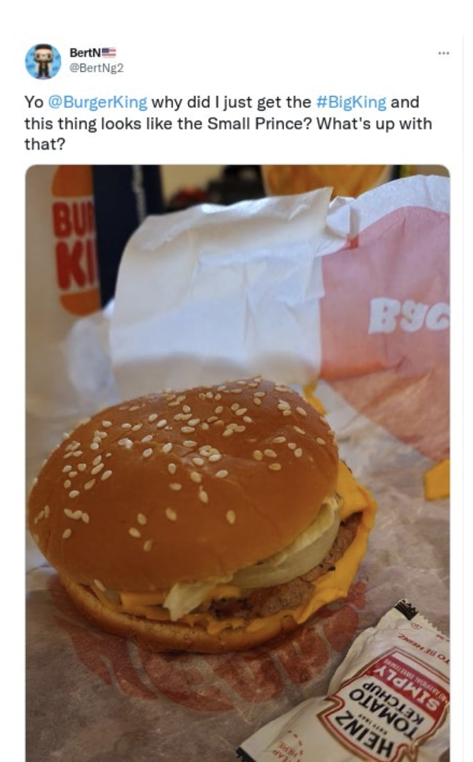 Burger King Sued Over 'Misleading' Ad Photos of Its Burgers PetaPixel