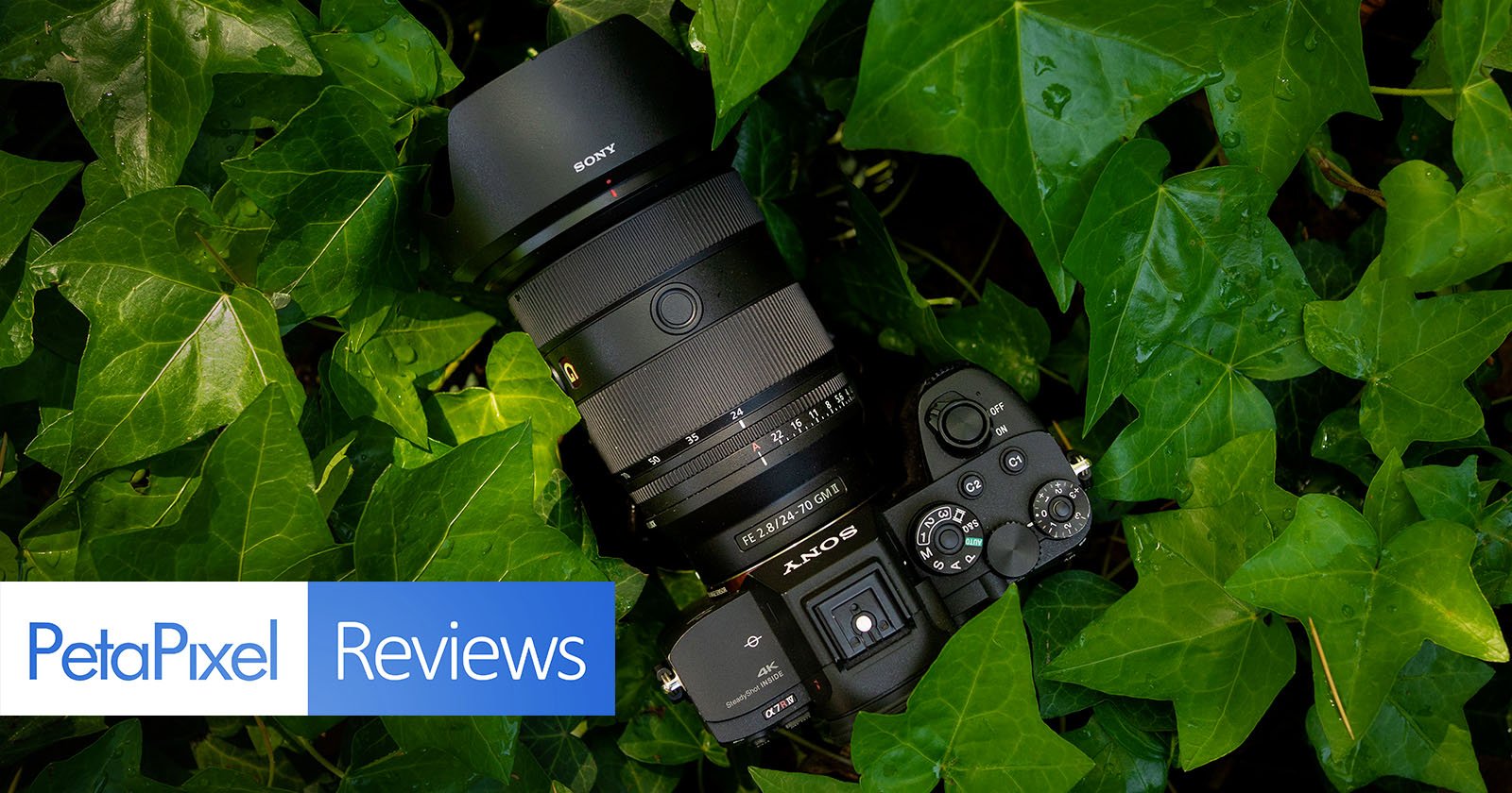 Sony 24-70mm f/2.8 G Master II Review: Smaller, Faster, Sharper