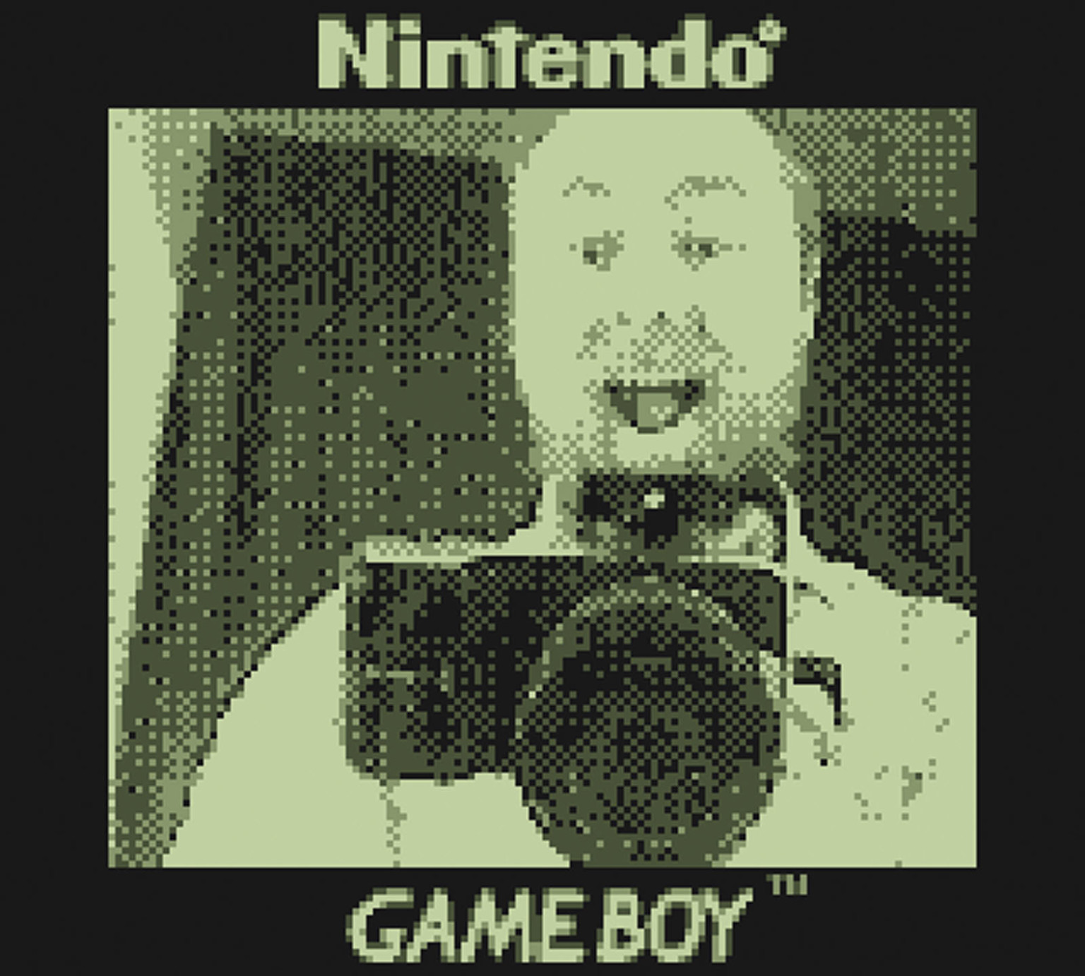 How to Hack a Game Boy Camera to Use 'Real' Camera Lenses | PetaPixel