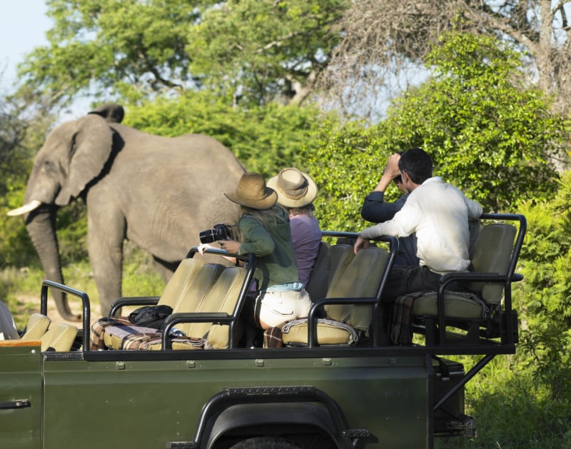 How to Shoot Africa's Big Five Safari Animals (with a Camera) | PetaPixel