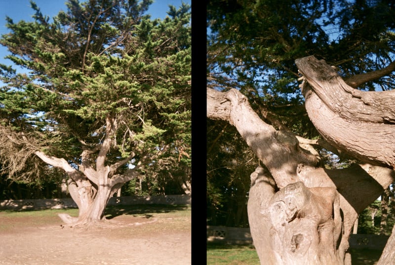 Kodak Ektar H35: How to Use + Sample Photos 