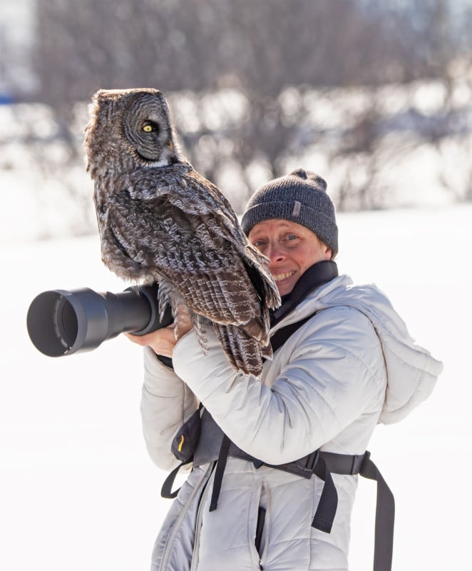 Owl Lands on Photographer's Camera