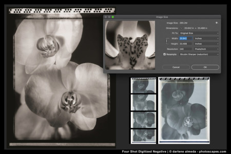 How to Use the Zone System in Photography | PetaPixel