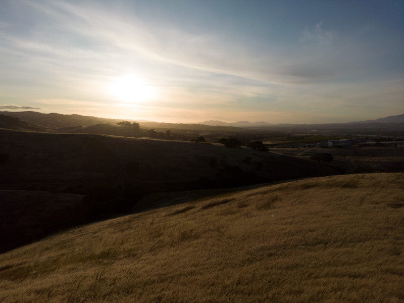 Straight out of camera before shadow recovery.