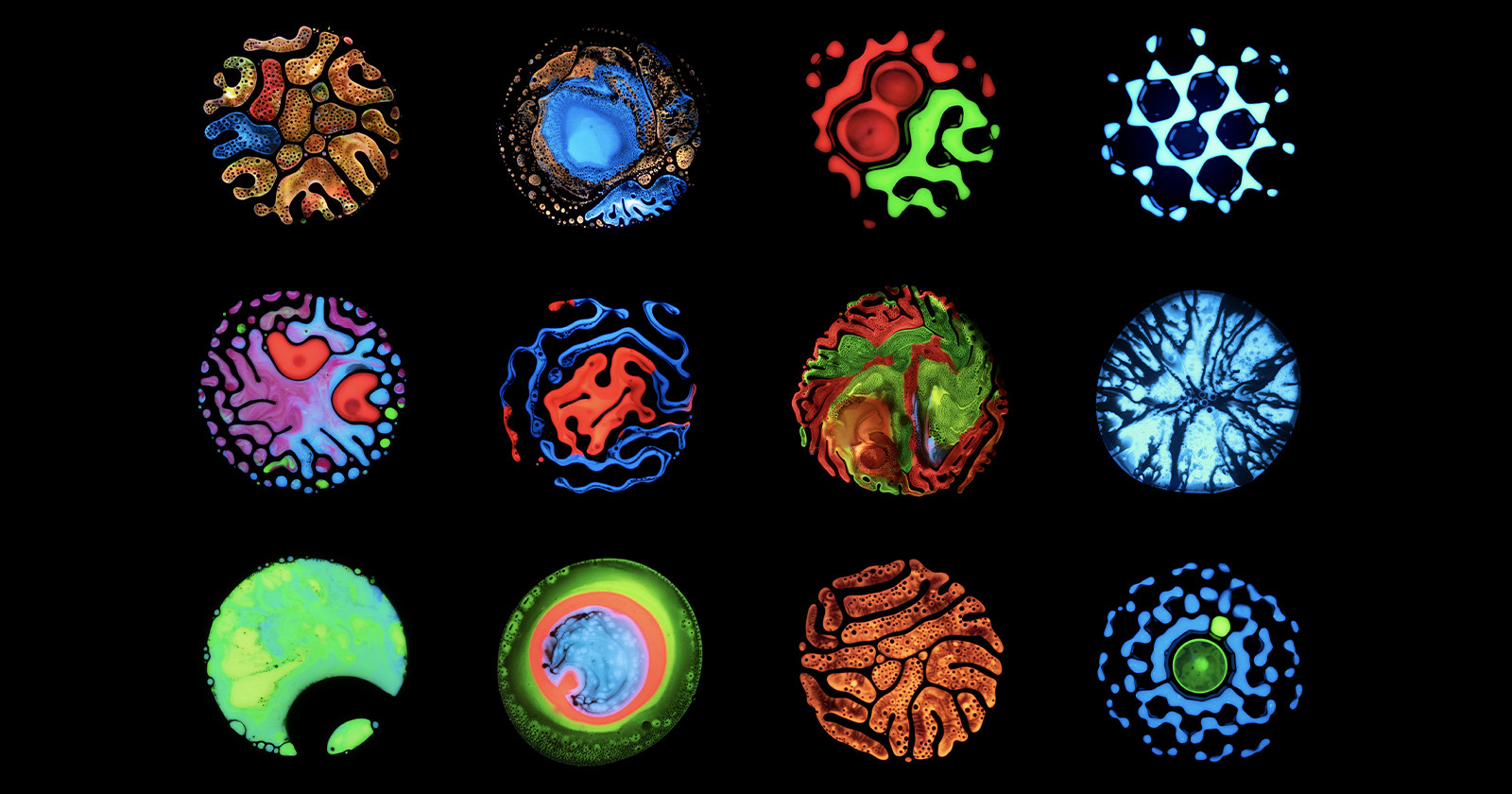 Photo Series of Handmade 'Cells' Visualizes the Search to Cure Cancer