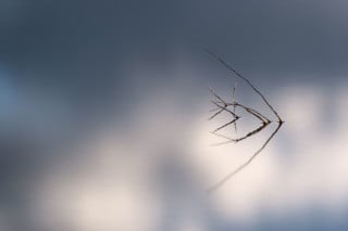 CPL Filter: Why, When, and How to Use a Circular Polarizer | PetaPixel