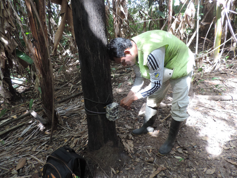 WCS Camera Traps