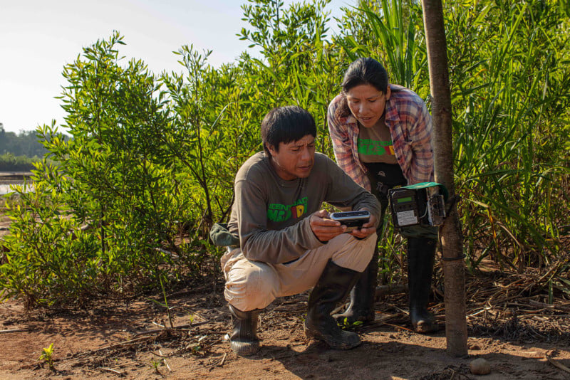 WCS Camera Traps