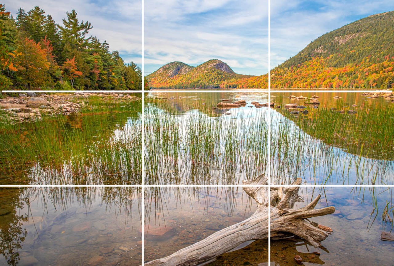 Nature Photography Rules At Mayme Tatman Blog