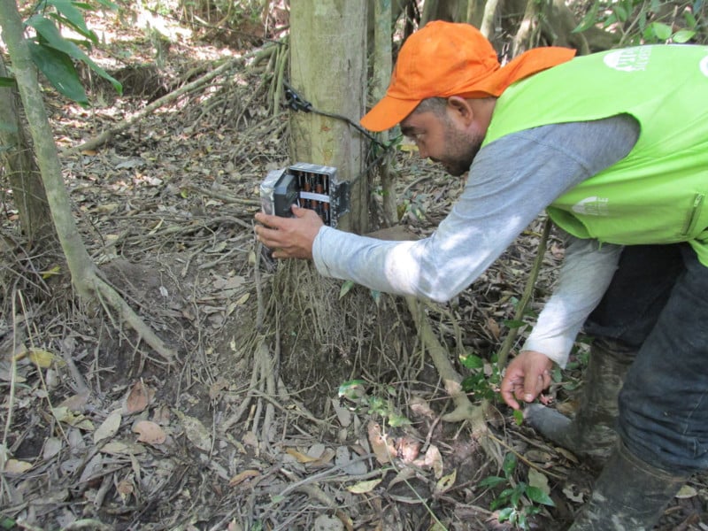 WCS Camera Traps