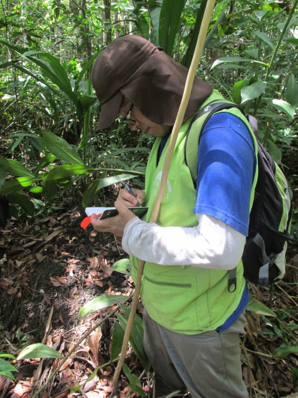 WCS Camera Traps