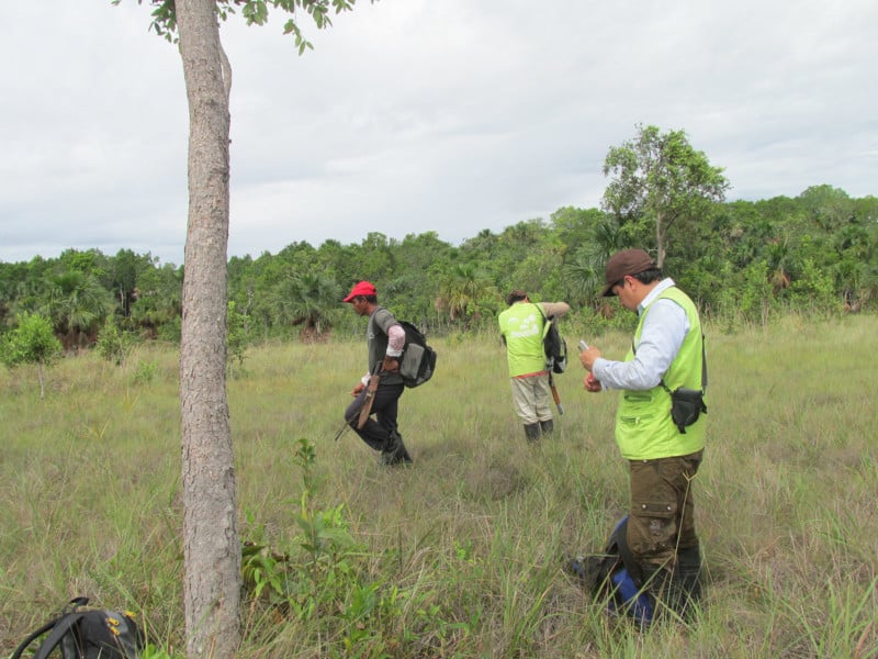 WCS Camera Traps