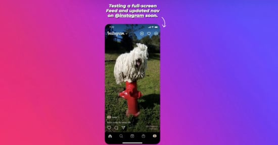 instagram full screen test