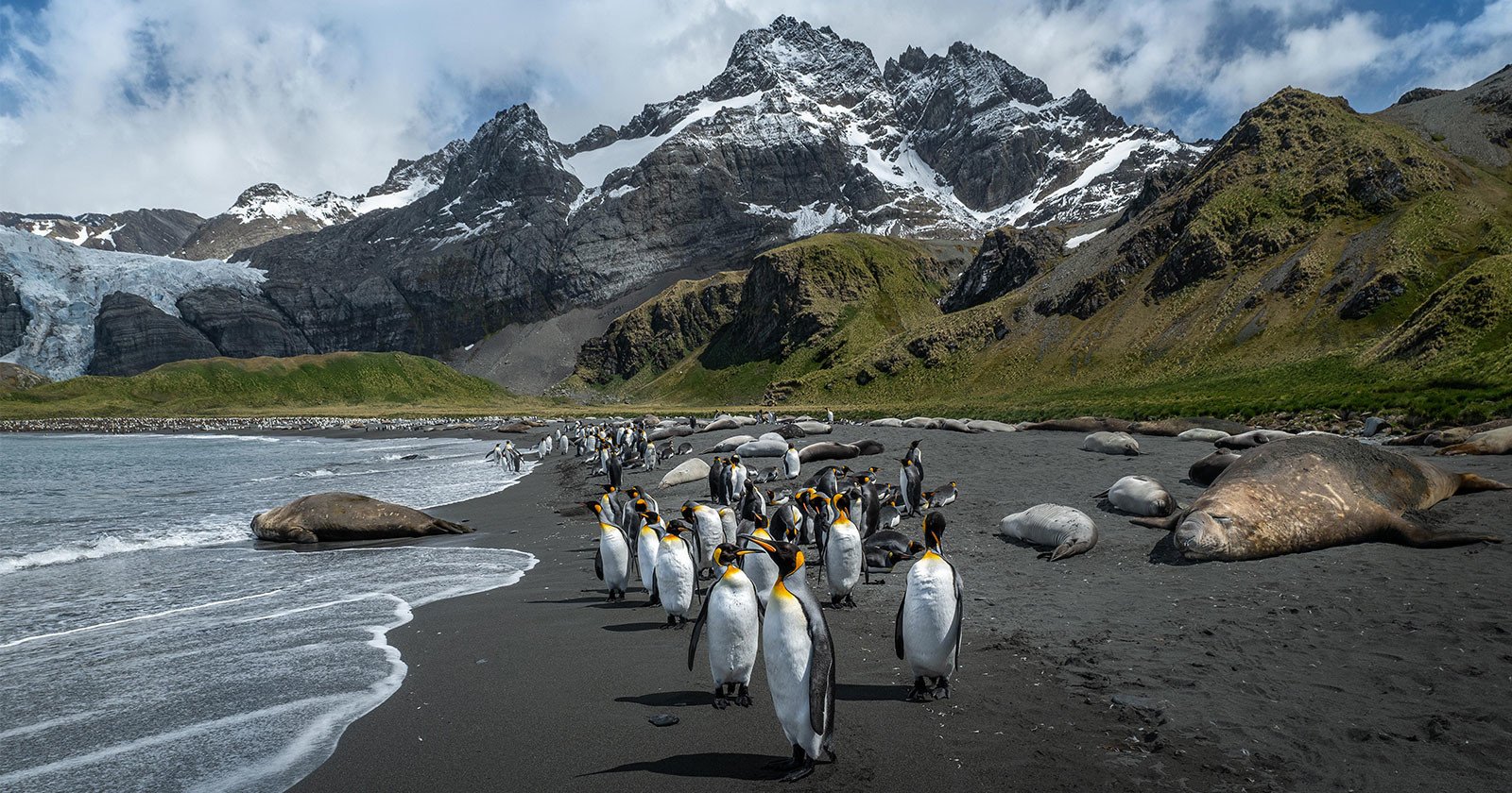 Photographing Antarctica: Penguins, Seals, and a Total Solar Eclipse
