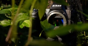 Nikon Z9 Sensor