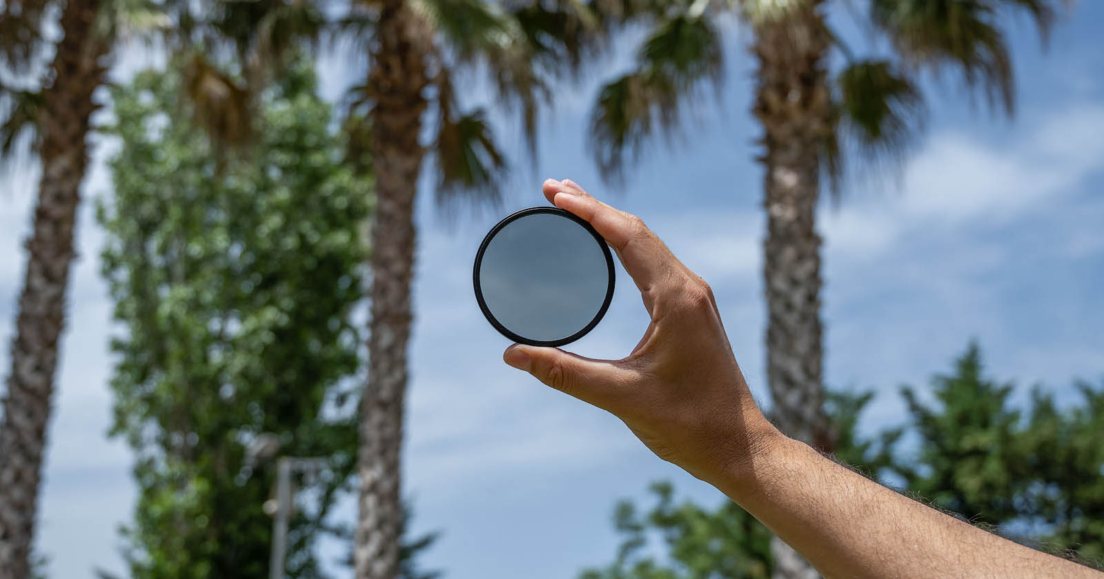 Sammenbrud Raffinere Forberedelse CPL Filter: Why, When, and How to Use a Circular Polarizer | PetaPixel