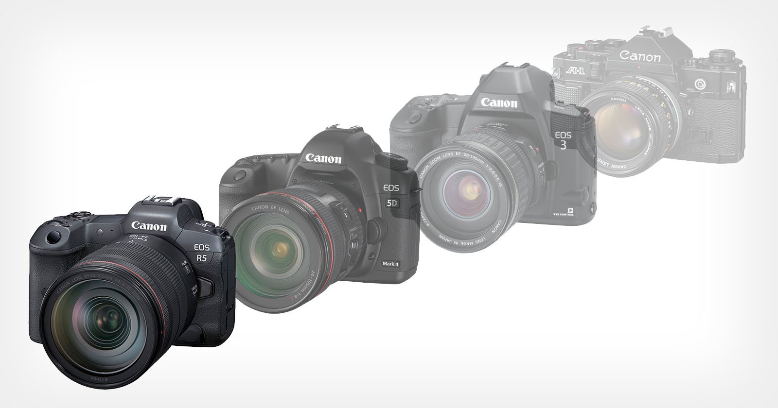 The Cameras That Helped Shape the Mirrorless Revolution