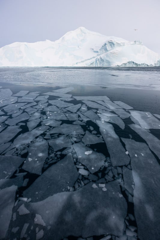 Icebergs in Greenland