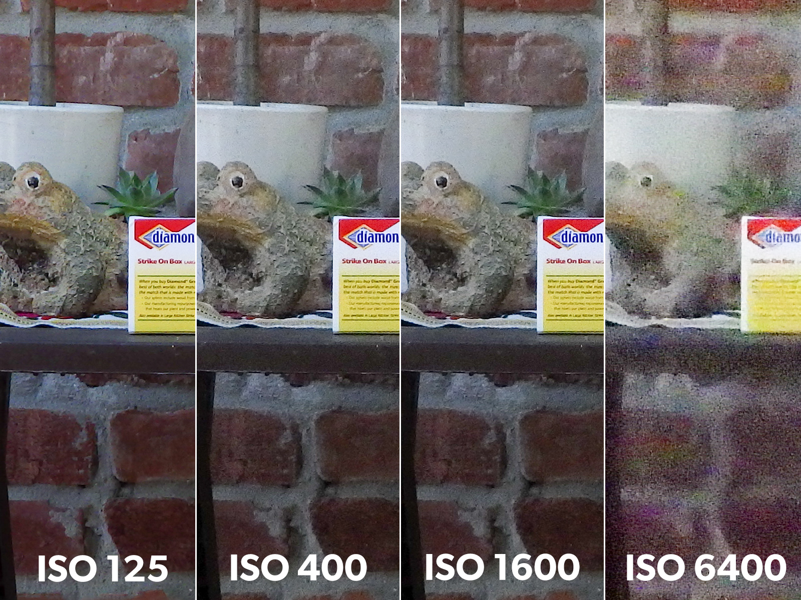 Ricoh WG-80 Review: A Tough Camera in the Wrong Line of Work | PetaPixel